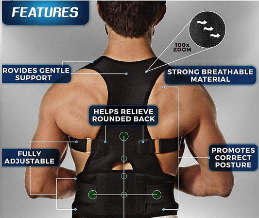 Back brace with features highlighted on a gray background