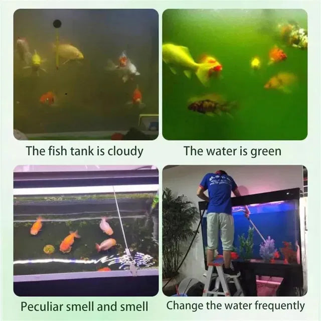 Four images showing issues with a fish tank including cloudy water, green water, and a person cleaning it.
